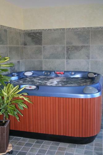 Bed & Breakfast L'or�e De Sologne