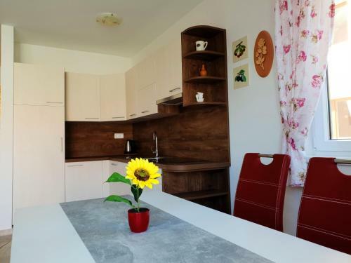 Apartamentos Villa Branka