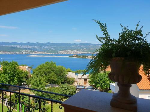 Apartamentos Villa Branka