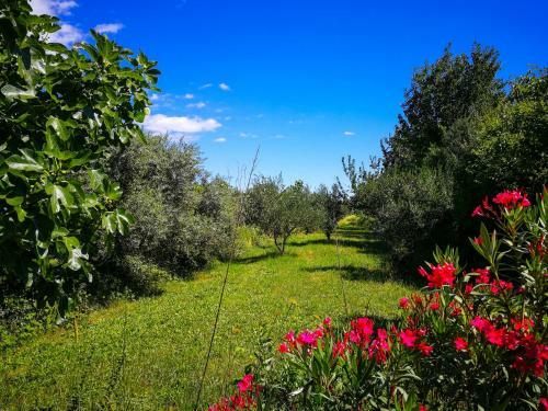 Lodge Ecohouse Oliveglia