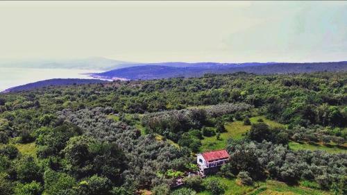 Lodge Ecohouse Oliveglia
