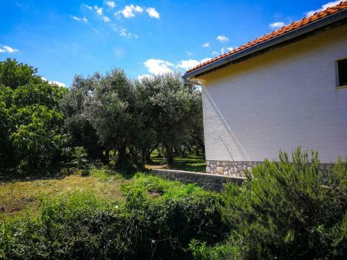 Lodge Ecohouse Oliveglia