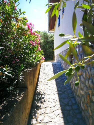 Lodge Ecohouse Oliveglia