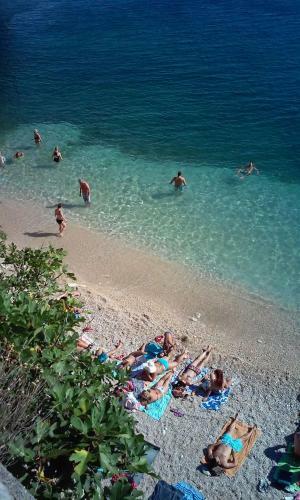 Apartman Jasmina