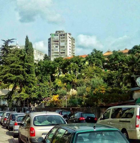 Zelena Oaza U Centru Grada