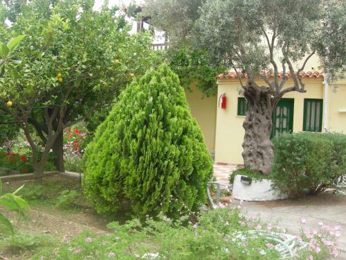 Apartamento Studio Popi