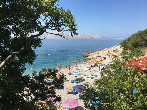 Apartman Mimoz