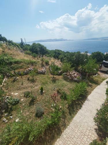 Apartment Senia
