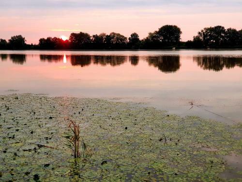 Dunabeach Szigetszentm�rton