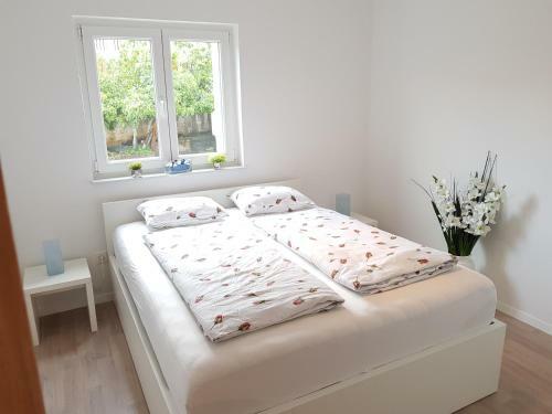 Apartmani Aria