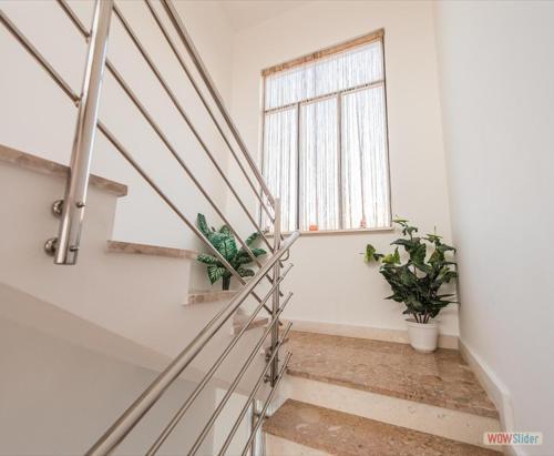 Apartmani Aria
