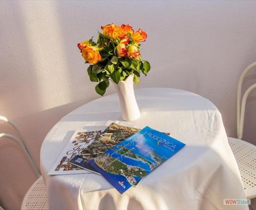 Apartmani Aria