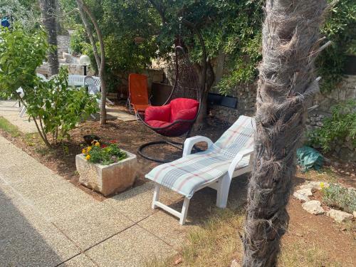 Apartments Delfin