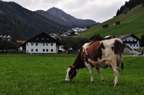 Apartamento Lacknerhof