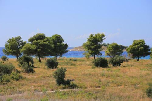 Apartments By The Sea Rogoznica - 4162