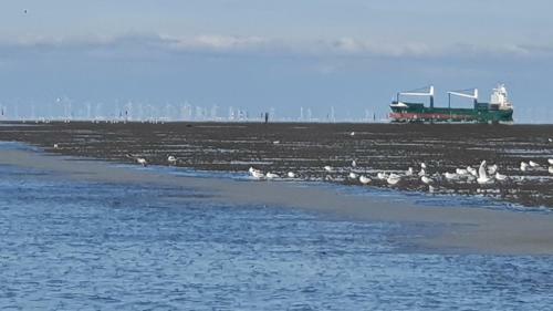 Apartamento Duhner Meerblick
