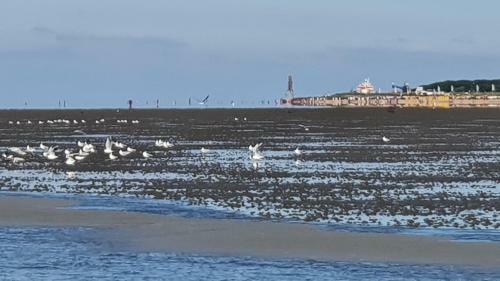Apartamento Duhner Meerblick