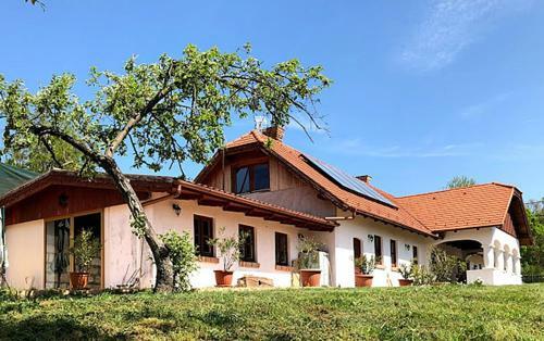Villa Greenhouse