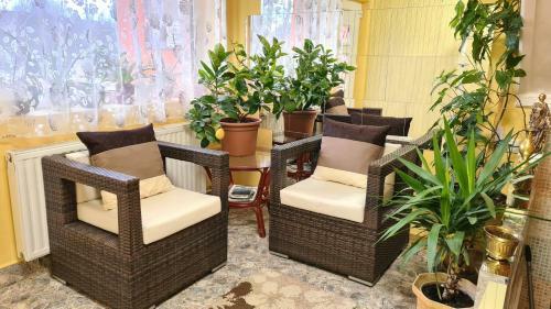 Liget Nyaral�h�z �s Apartman Liget