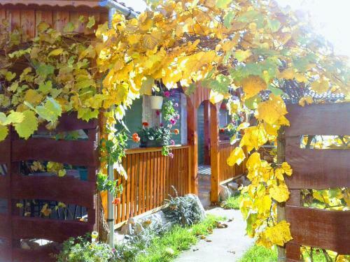Relax Nyaral�udvar