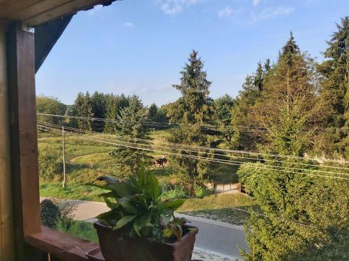 Hostal Feny?fa Vend�gh�z