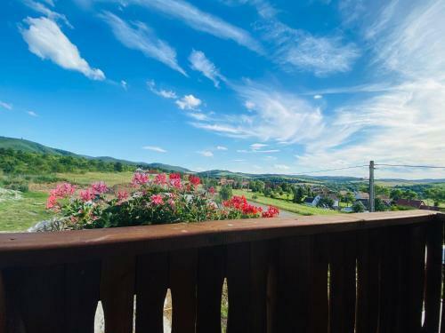 Hostal Gold Horse Vend�gh�z
