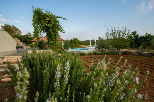 Villa Ane