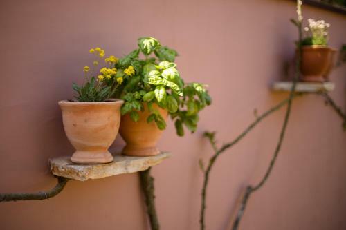 House Rabota Pula