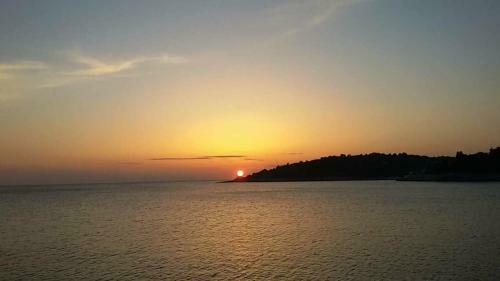 Apartman Goga