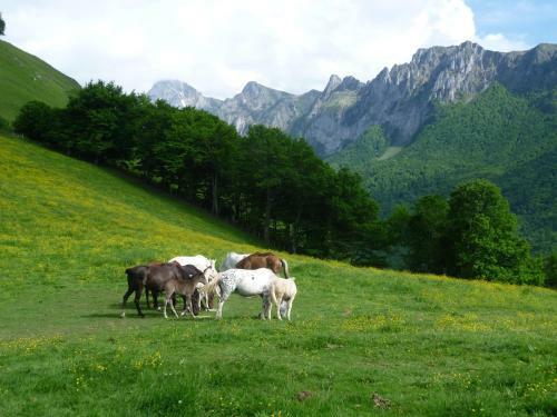 Bed & Breakfast Auberge Cavali�re