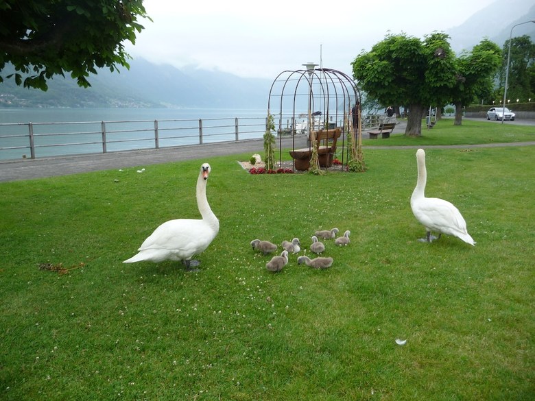 Hotel Seiler Au Lac