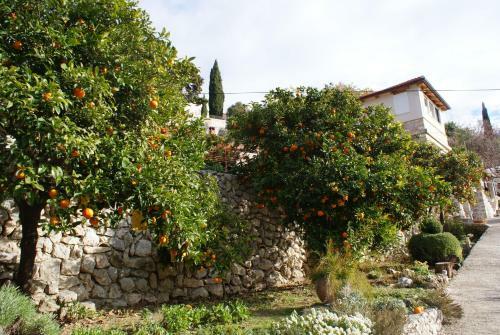Apartamentos Three Oranges