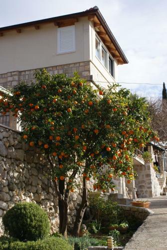 Apartamentos Three Oranges