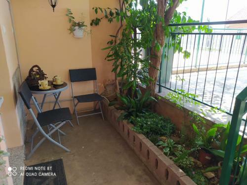 Studio Apartman Katarina