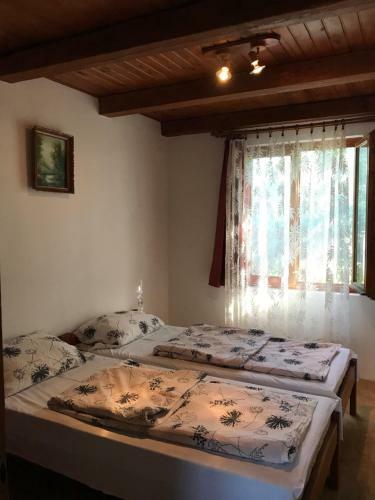 Apartamento V�nusz �d�l?centrum