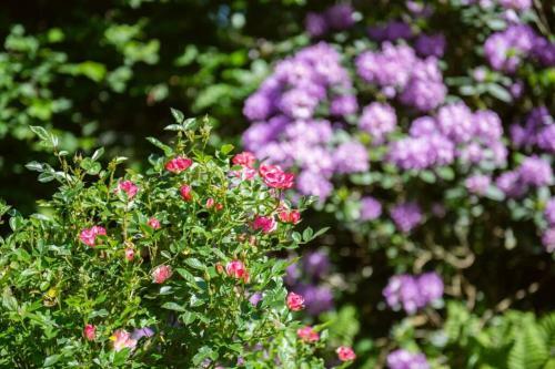 Apartamento Heuerhaus 1898