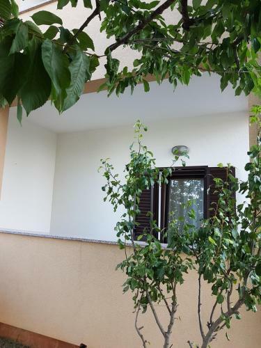 Apartment Matteo