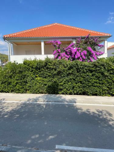 Apartmani Frane