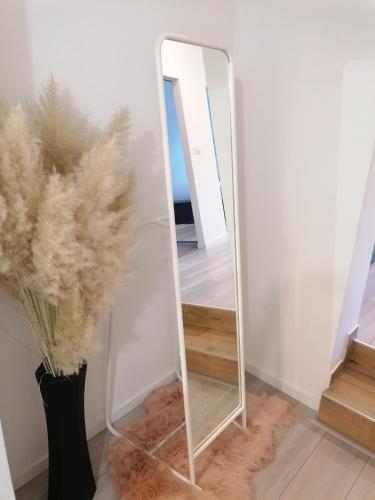 Apartman Sokol****