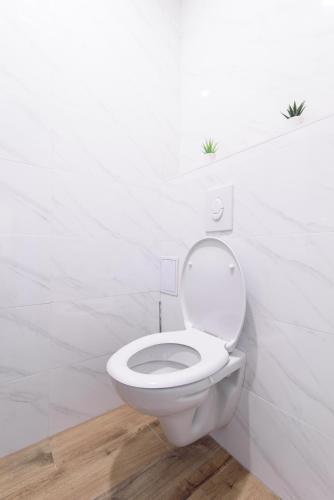 Apartman Sokol****
