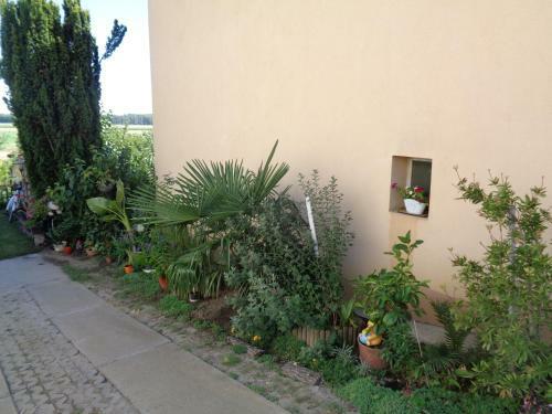 Kata Apartment