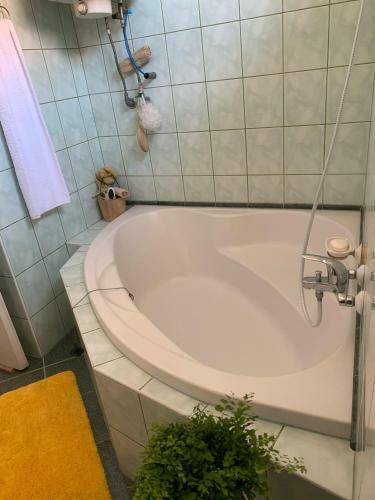 Kata Apartment