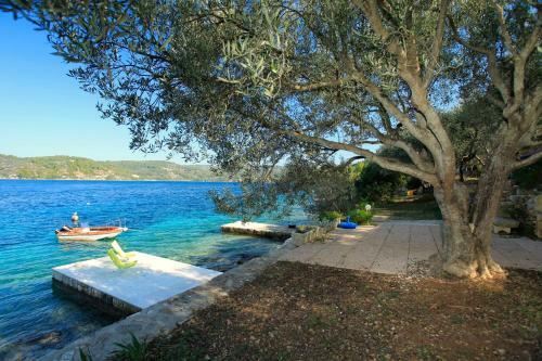 Paradise