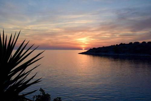 Apartment In Vela Luka - Insel Korcula 39018