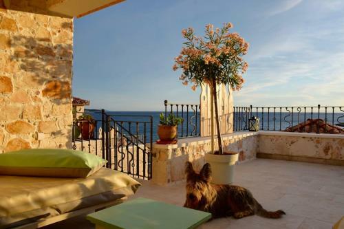 Apartamento Villa Kamen Green