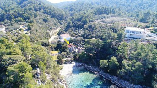 Holiday House Danica