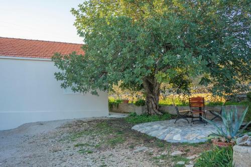 Holiday House Roza