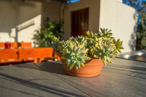Holiday House Roza