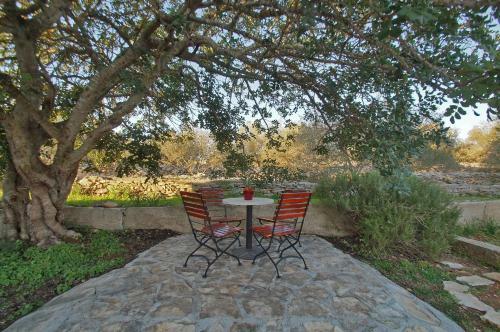 Holiday House Roza