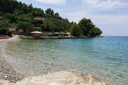 Tina's Holiday House